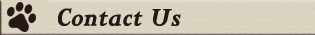 Contact Us