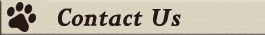 Contact Us
