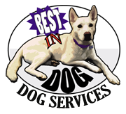 Best In Dog logo