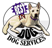 Well-Trained Dogs are Happy Dogs!